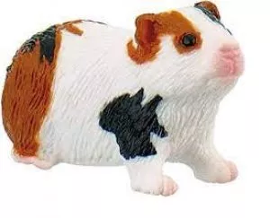Meerschweinchen v. Bullyworld