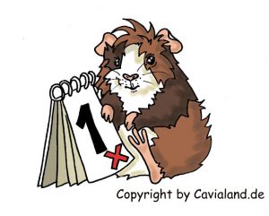 Cavialand ABO