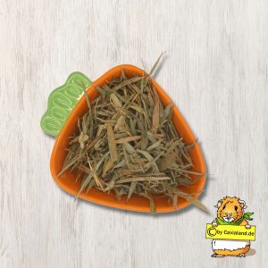 Cavialand Bambusblaetter
