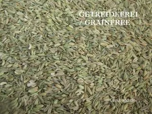 Fenchelsamen