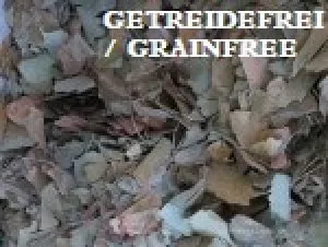 Gingkoblätter