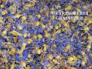 Kornblumenblüten blau