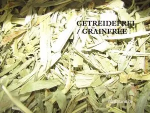 Maisblätter