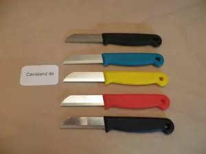 Gemüsemesser