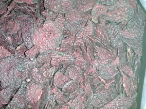 Rote Beete SCHEIBEN