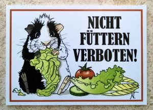 Schild (stabil) 