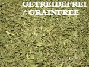 Selleriestiele