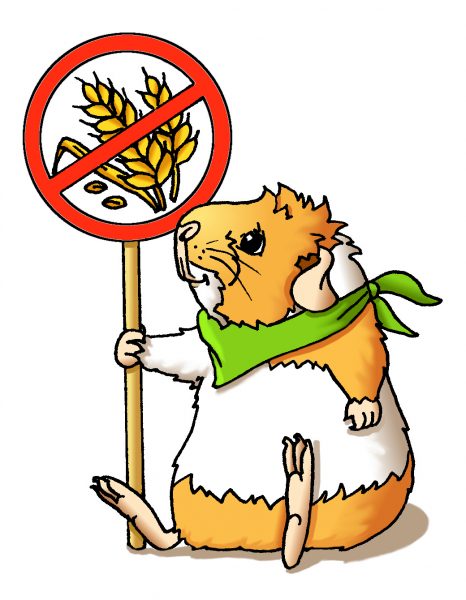 Himbeerblätter getrocknet SONDERPOSTEN ca. 1,75 kg