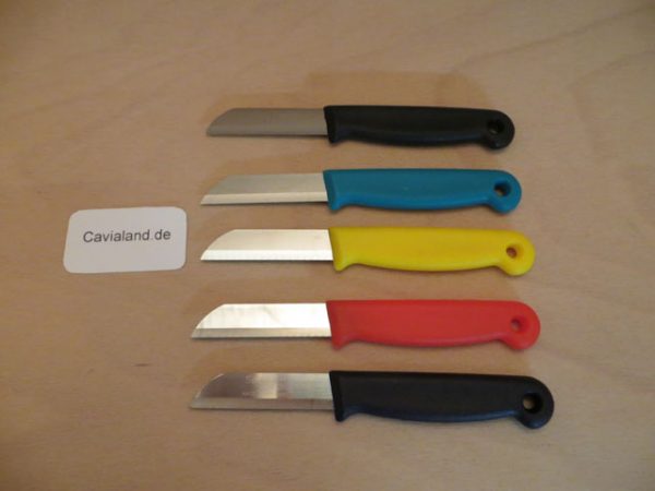 Cavialand Gemüsemesser