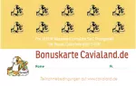 Bonuskarte