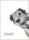 POSTKARTE "Hallo"
