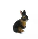 Kaninchen (schwarz/rot) v. Bullyworld