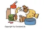 Starterset mittel