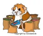 Wunschmischung 5 - 10 kg (Mischzuschlag)