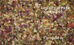 Gourmet Charity Mix Nr. 11 (Angie`s Knuddelbande)