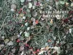 Gourmet Charity Mix Nr. 19 (NotMS Nidderau)