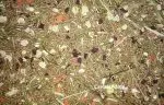 Gourmet Charity Mix Nr. 25 (Meerschweinchenpflegestelle Thüringen)