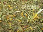 Gourmet Flowers & Herbs