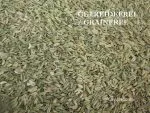 Fenchelsamen