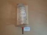 Flaschenahlter groß