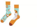 Socken v. Dedoles
