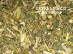 Topinamburkraut