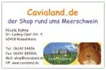 Visitenkarten Cavialand.de (20 Stück)